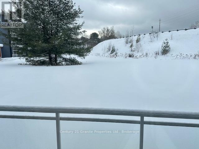 106 - 20c Silver Birch Court, Parry Sound, Ontario P2A 0A7 - Photo 30 - X12710232