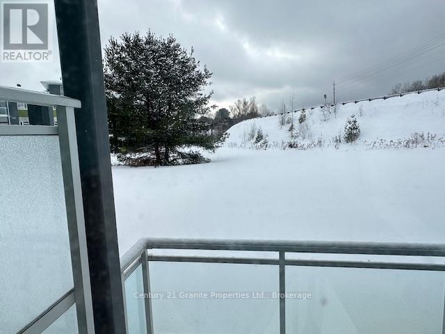 106 - 20c Silver Birch Court, Parry Sound, Ontario P2A 0A7 - Photo 31 - X12710232