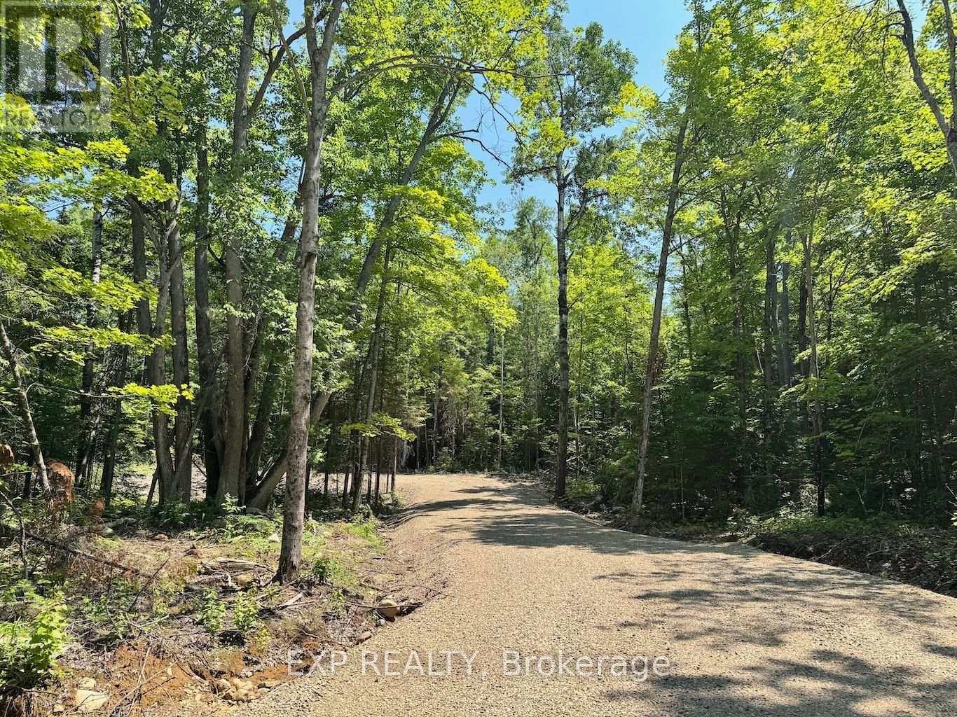 Lot 8 Lakewoods Drive, Madawaska Valley, Ontario  K0J 1B0 - Photo 4 - X12148208