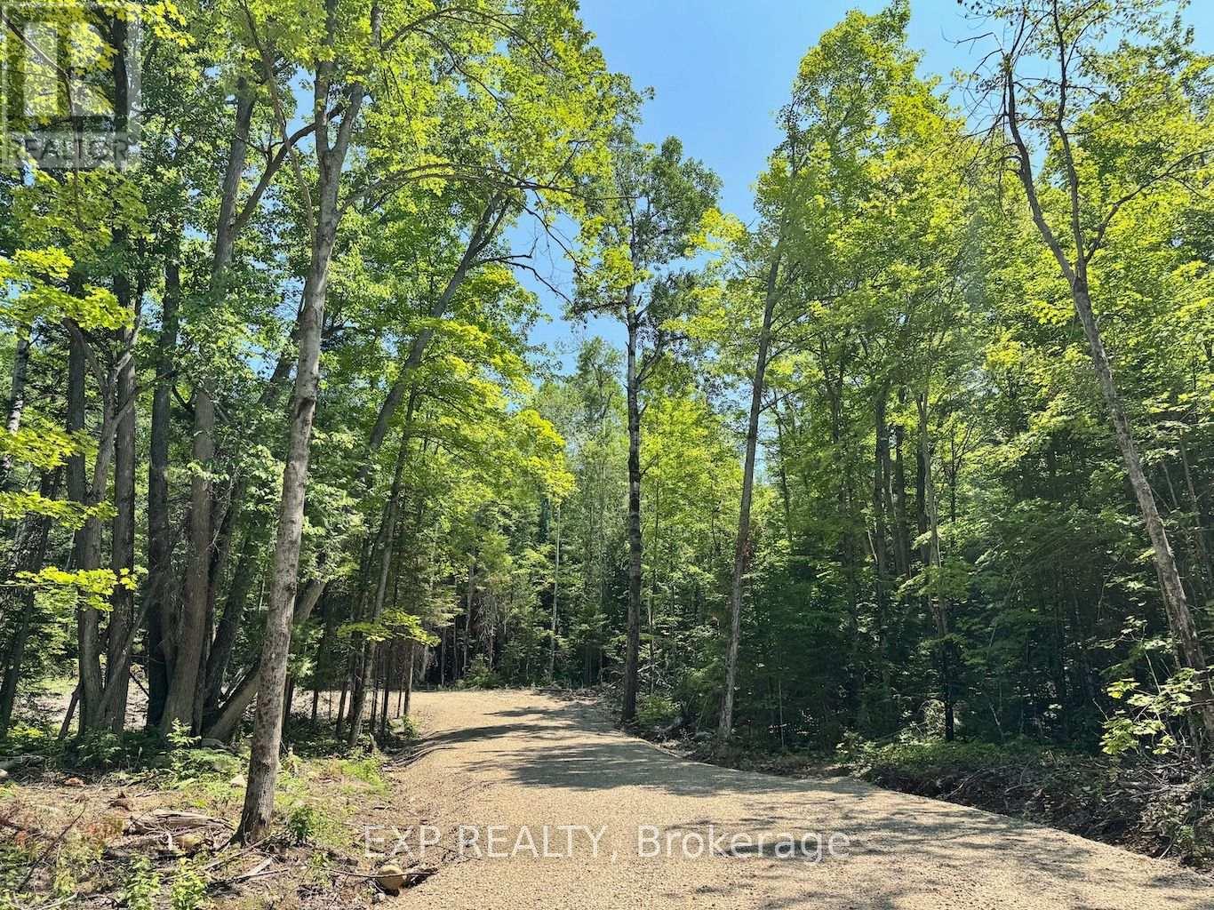 Lot 8 Lakewoods Drive, Madawaska Valley, Ontario  K0J 1B0 - Photo 5 - X12148208