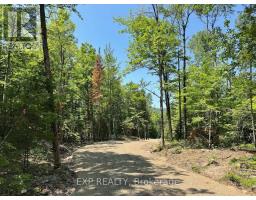 LOT 8 LAKEWOODS DRIVE, Madawaska Valley, Ontario