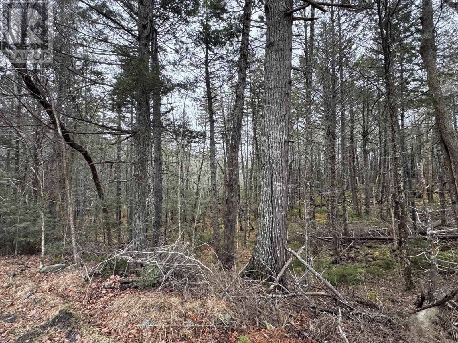 Lot 78 Thumb Cap Point, Labelle, Nova Scotia  B0T 1E0 - Photo 5 - 202601103