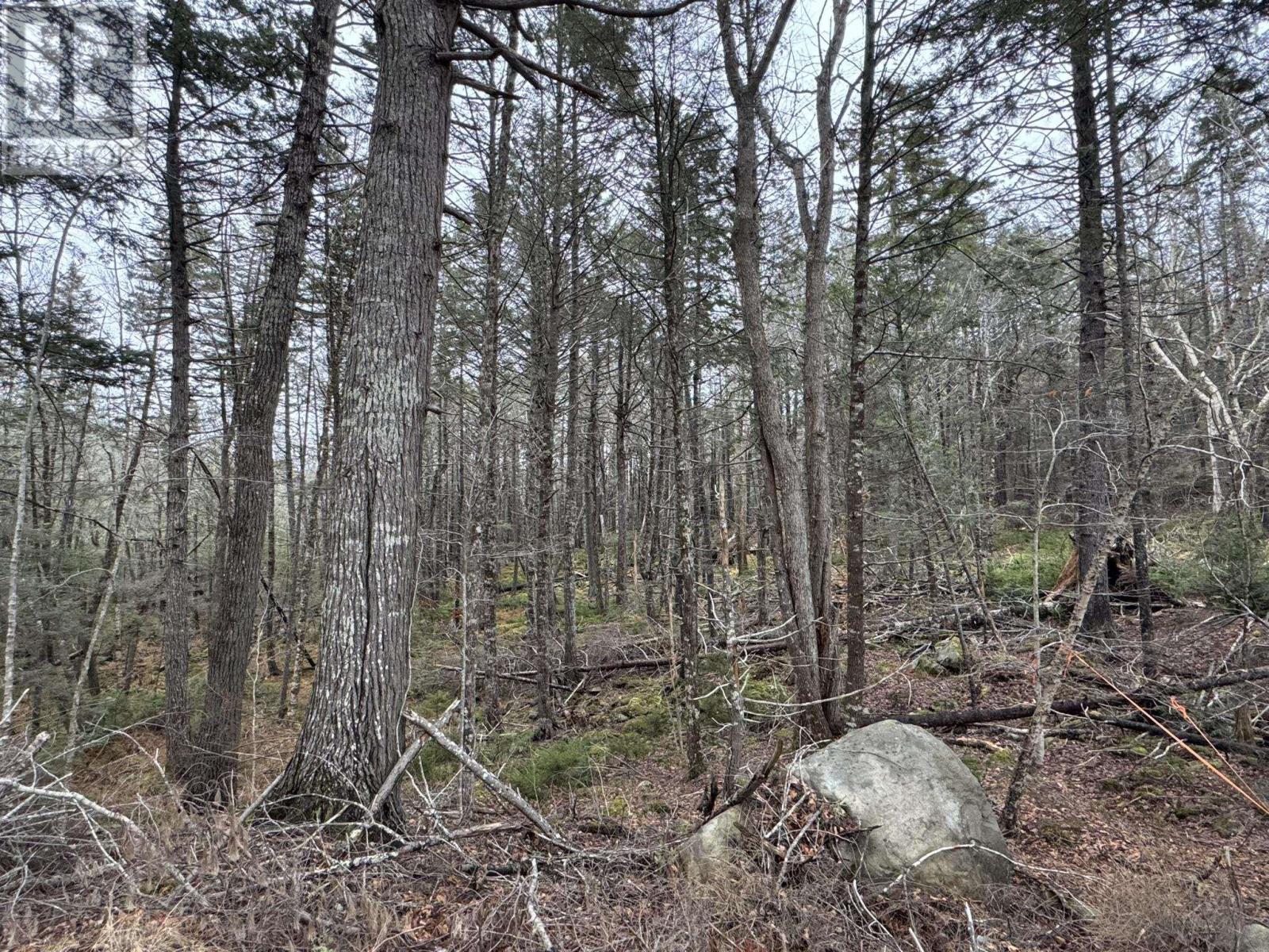 Lot 78 Thumb Cap Point, Labelle, Nova Scotia  B0T 1E0 - Photo 4 - 202601103