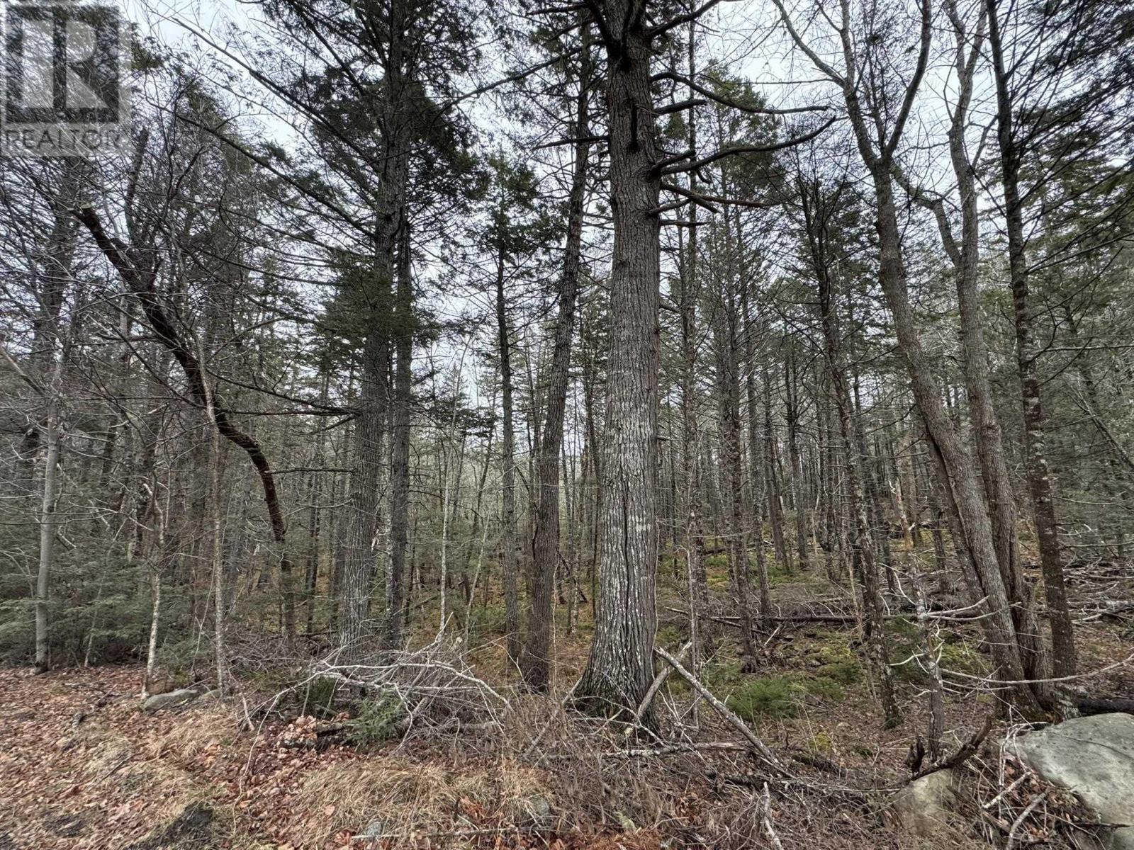 Lot 78 Thumb Cap Point, Labelle, Nova Scotia  B0T 1E0 - Photo 6 - 202601103