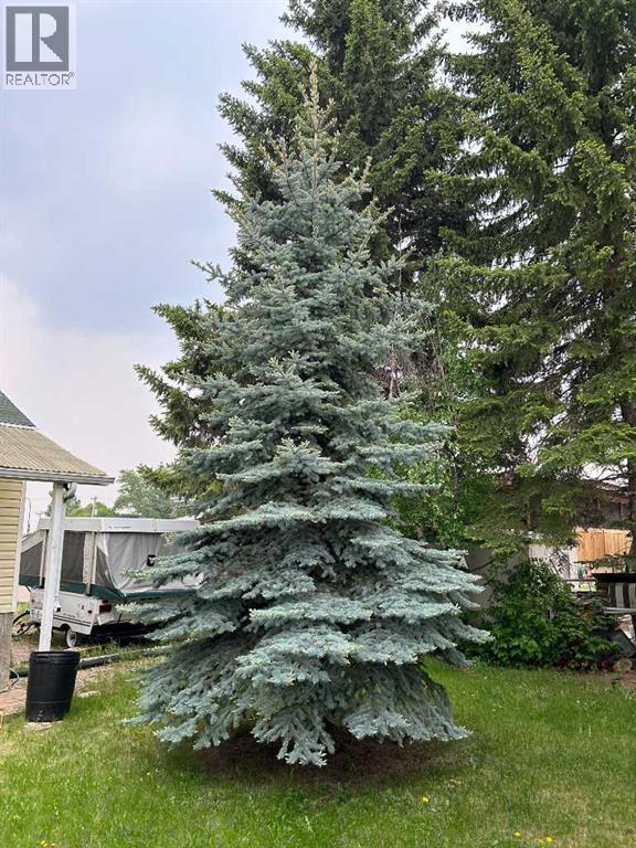 4517 53 Street, Vermilion, Alberta  T9X 1X9 - Photo 24 - A2230031