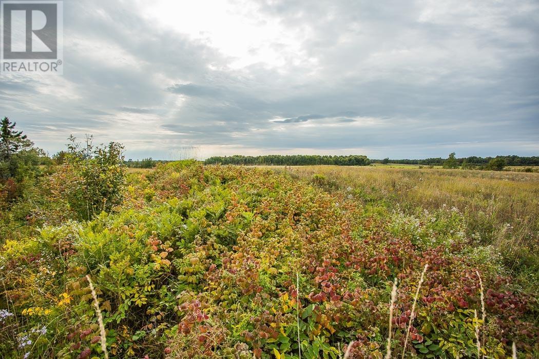 West Side Maclennan Rd/south Side Government Rd, Property 4, Township Of Tarbutt, Ontario  P0R 1E0 - Photo 19 - SM252803