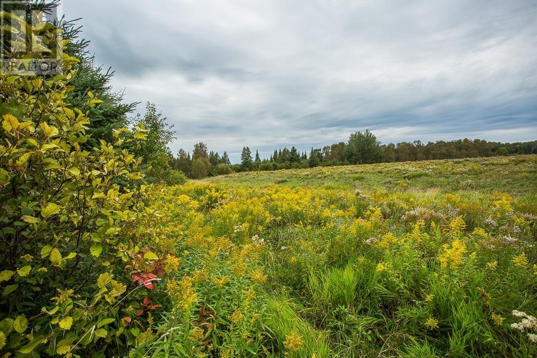 Rydall Mill Road North Side, Property 7, Township Of Laird, Ontario  P0R 1E0 - Photo 18 - SM252806