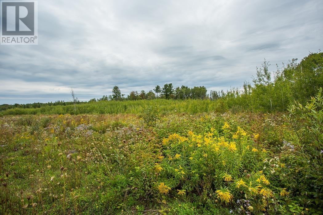 Rydall Mill Road North Side, Property 7, Township Of Laird, Ontario  P0R 1E0 - Photo 25 - SM252806