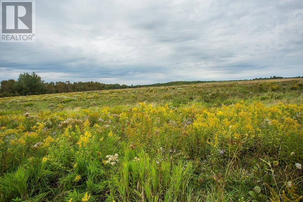 Rydall Mill Road North Side, Property 7, Township Of Laird, Ontario  P0R 1E0 - Photo 19 - SM252806
