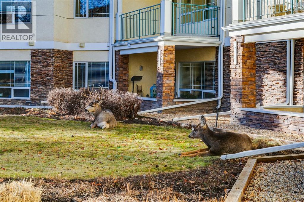 318, 2144 Paliswood Road Sw, Calgary, Alberta  T2V 5K2 - Photo 36 - A2277702