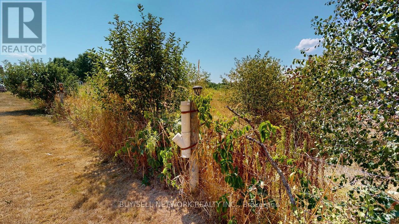 3435 Baseline Road, Otonabee-South Monaghan, Ontario  K0L 2G0 - Photo 6 - X12710638