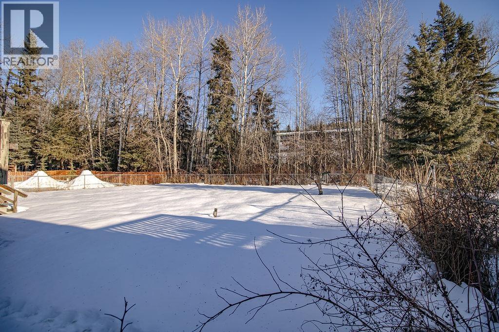 228 E 4th Avenue, Fort St. James, British Columbia  V0J 1P0 - Photo 5 - R3080305