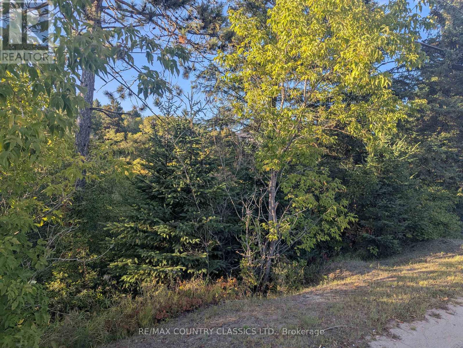 00000 Opeongo Line, Madawaska Valley, Ontario  K0J 1B0 - Photo 2 - X12710594