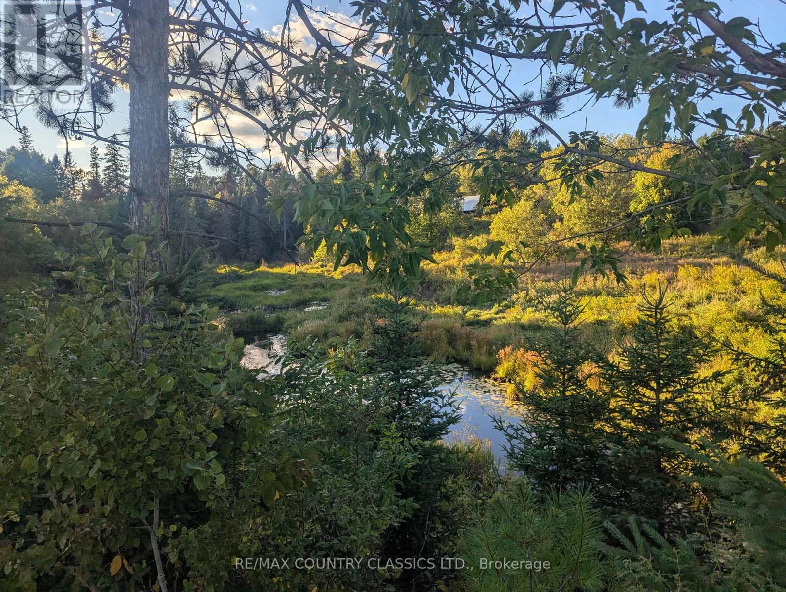 00000 Opeongo Line, Madawaska Valley, Ontario  K0J 1B0 - Photo 4 - X12710594
