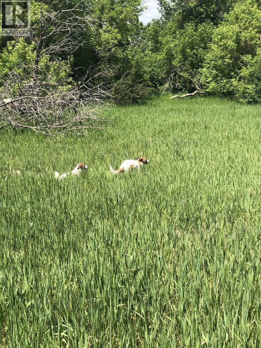 4764 Riverview Drive, Edgewater, British Columbia  V0A 1E0 - Photo 20 - 10373276