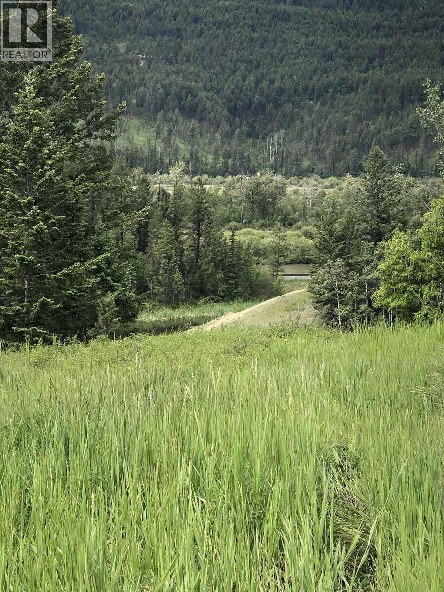 4764 Riverview Drive, Edgewater, British Columbia  V0A 1E0 - Photo 23 - 10373276