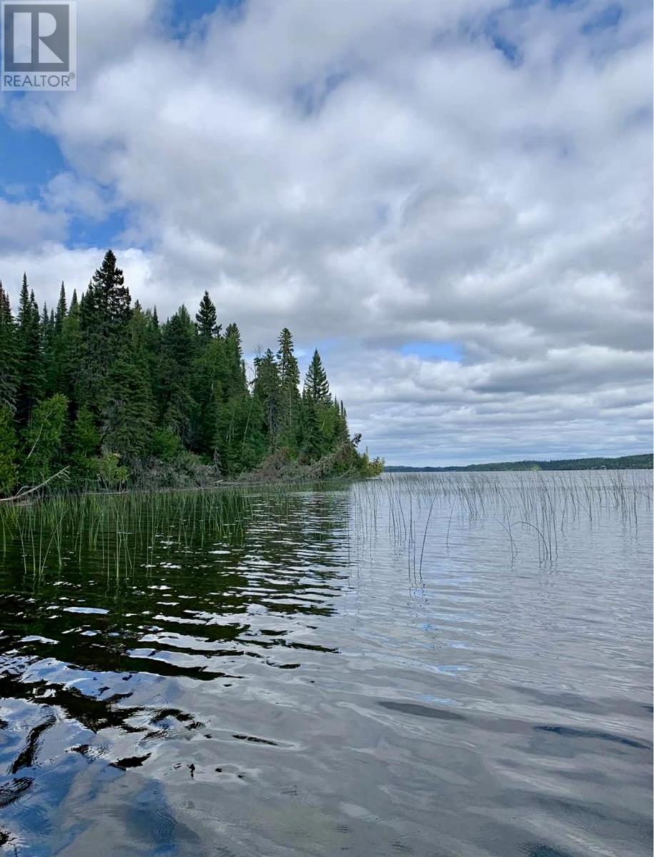 428 Eagle Nest Rd, Nakina, Ontario  P0T 2H0 - Photo 25 - TB252308