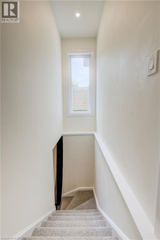 38 Euclid Avenue, Waterloo, Ontario  N2L 1Z3 - Photo 27 - 40798441