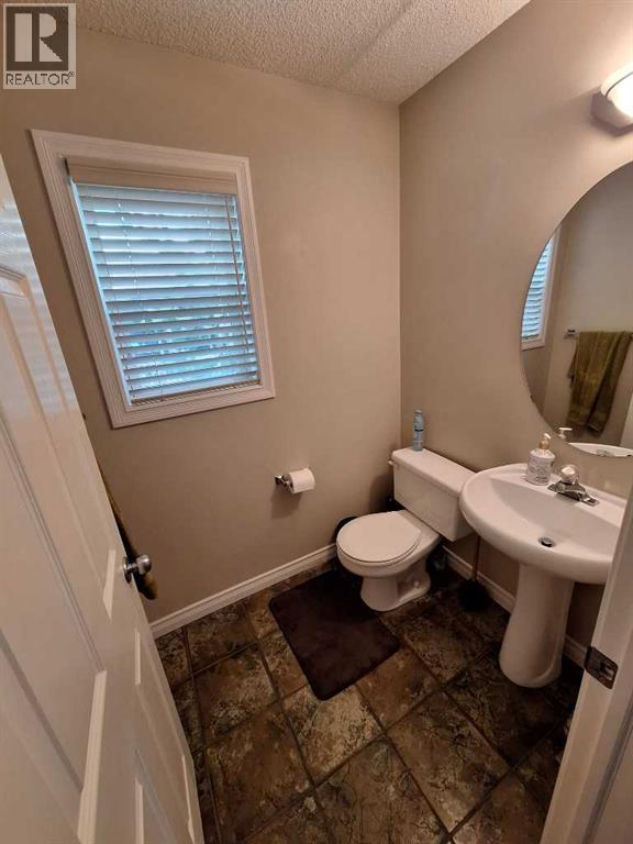 249 West Lakeview Place, Chestermere, Alberta  T1X 1K4 - Photo 21 - A2242219