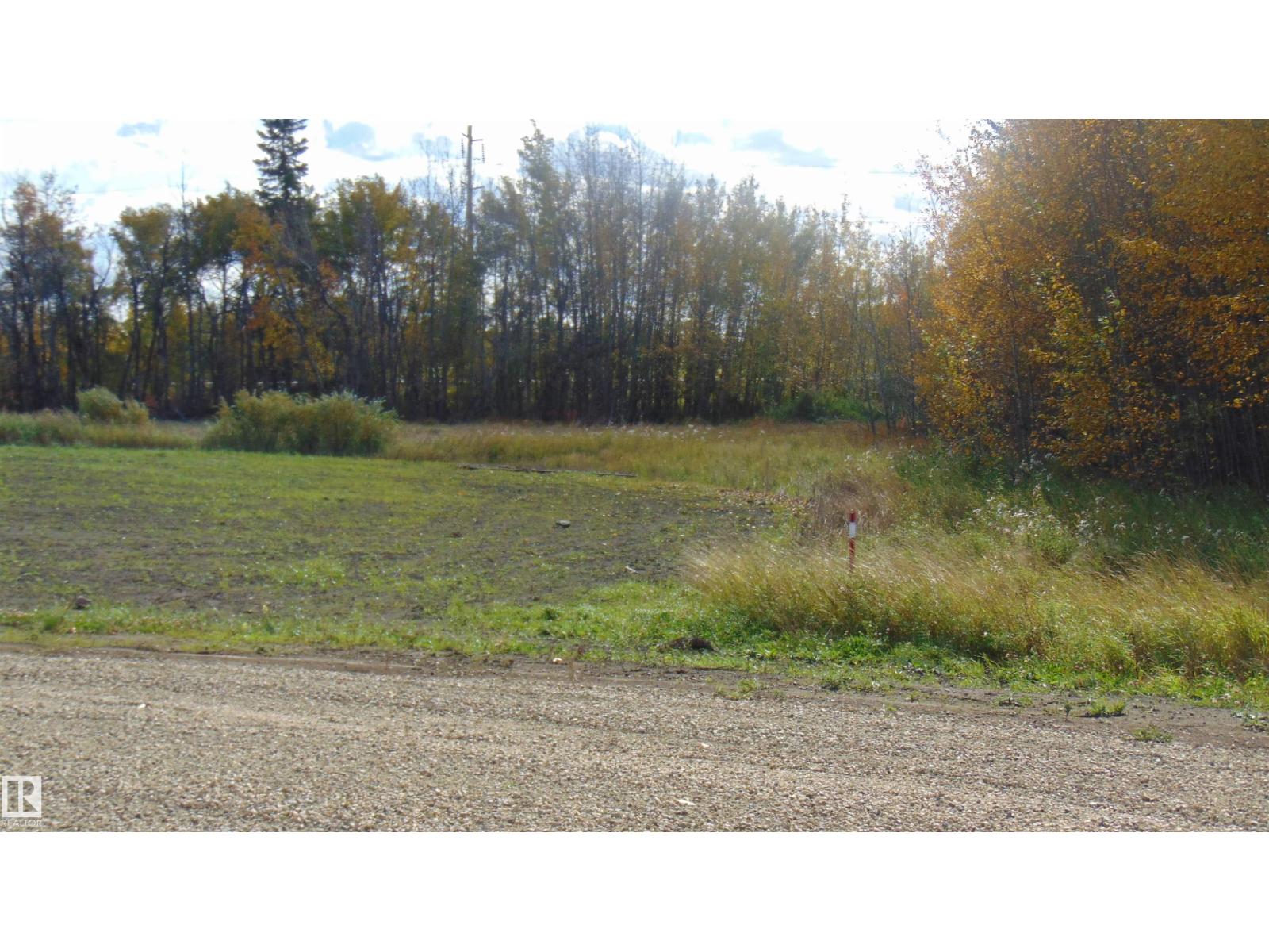 #14 243060 Twp 470, Rural Wetaskiwin County, Alberta  T9A 1X1 - Photo 7 - E4441587