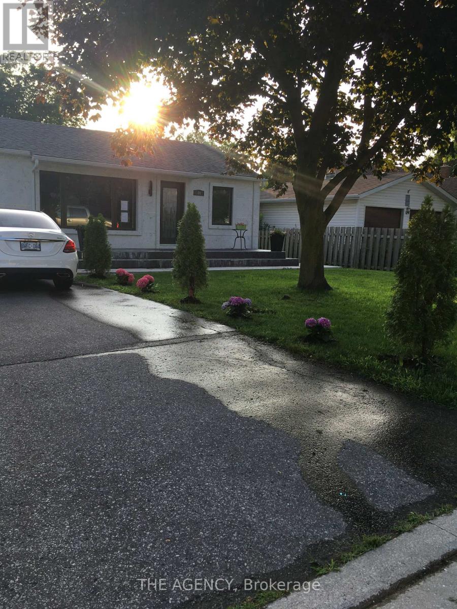 Main Floor - 40 Howard Road, Newmarket, Ontario  L3Y 3G7 - Photo 1 - N12710952