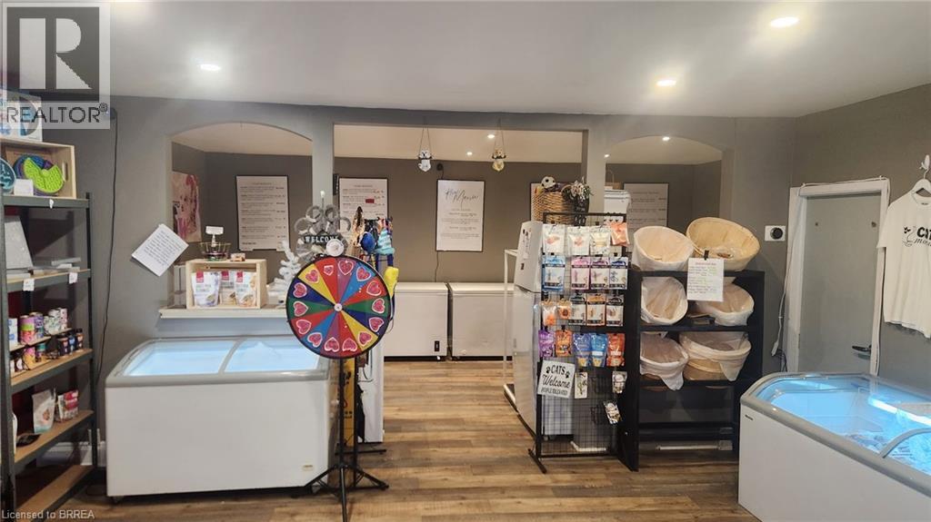 507 Colborne Street, Brantford, Ontario  N3S 3P3 - Photo 6 - 40797315