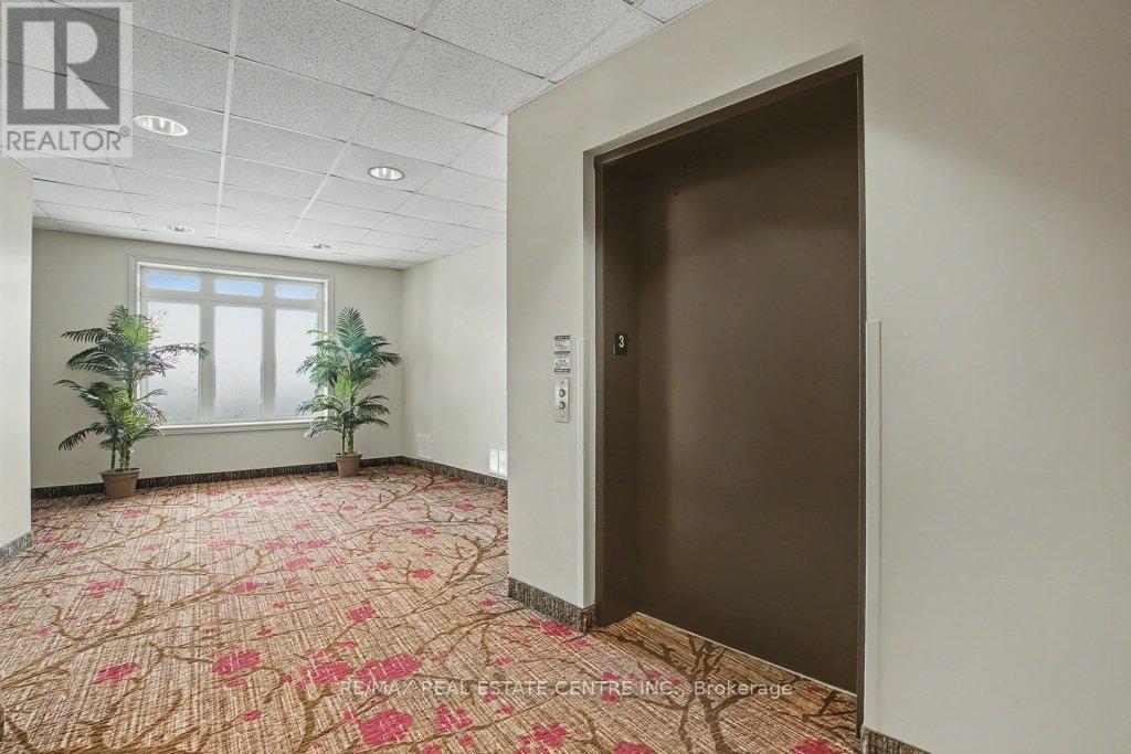 313 - 443 Centennial Forest Drive, Milton, Ontario  L9T 6A1 - Photo 4 - W12711102