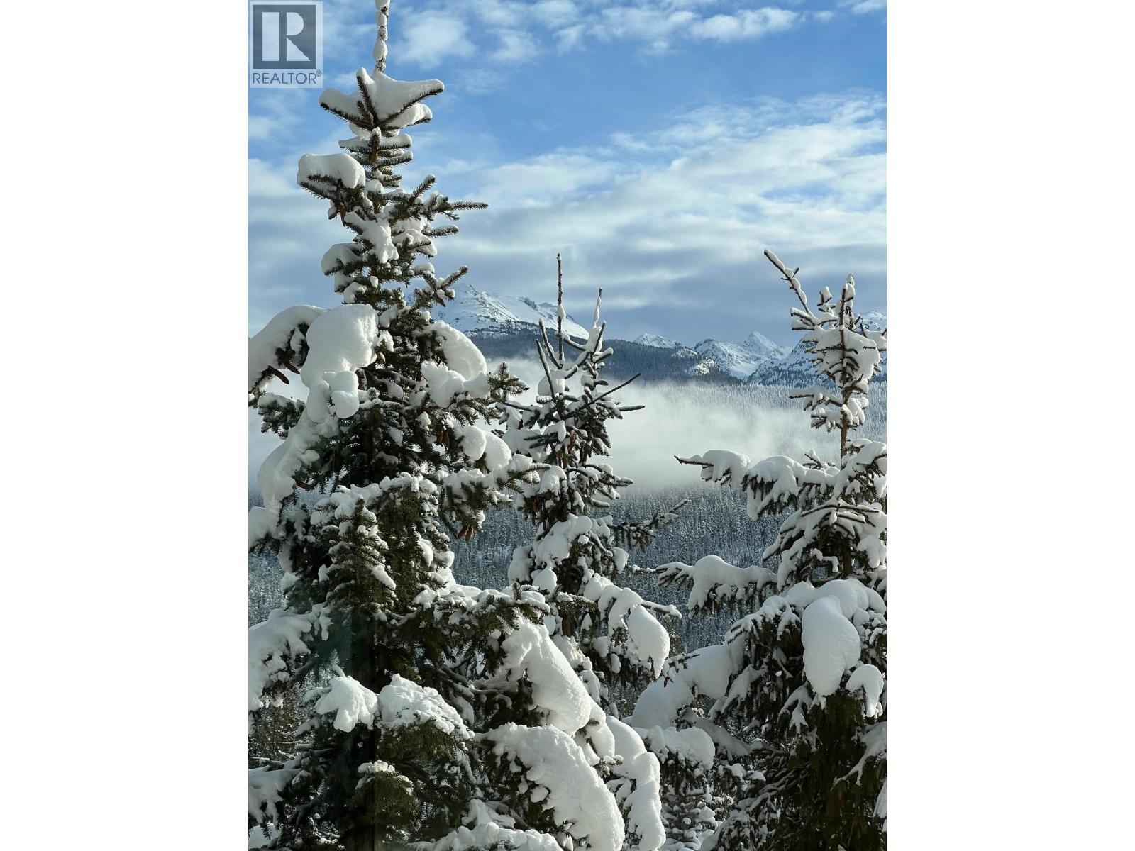 9331 Emerald Drive, Whistler, British Columbia  V8E 0G5 - Photo 33 - R3077255