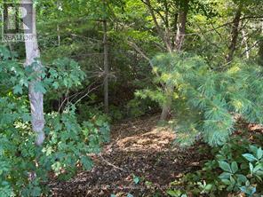 18 Wilkins Crescent, Tillsonburg, Ontario  N4G 5M6 - Photo 5 - X12711454