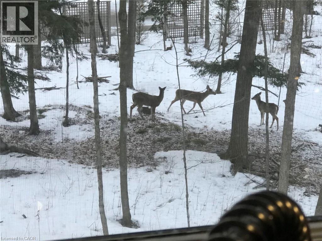 7 Squire Court, Waterloo, Ontario  N2J 4G8 - Photo 38 - 40798492