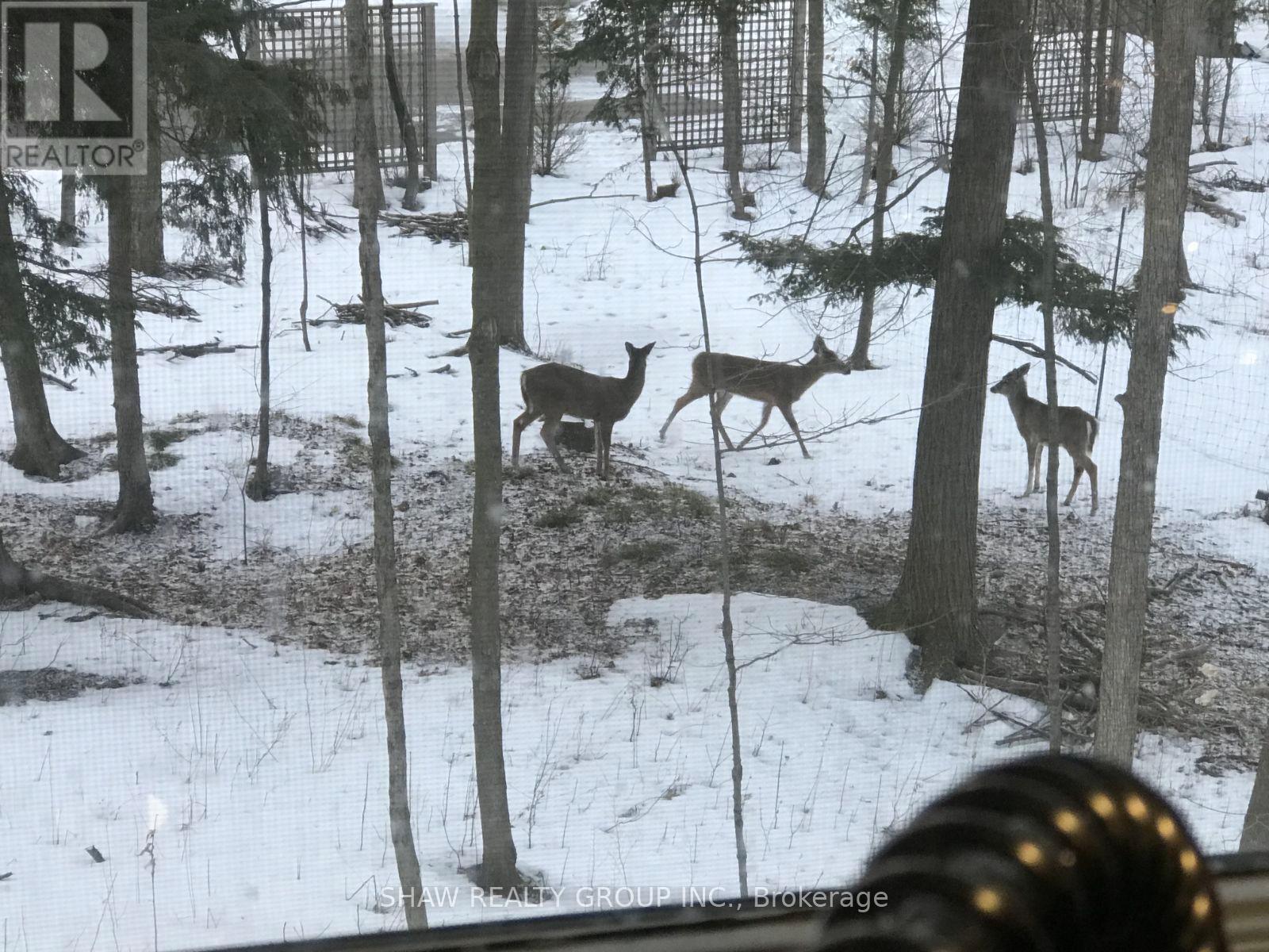 7 Squire Court, Waterloo, Ontario  N2J 4G8 - Photo 49 - X12711540