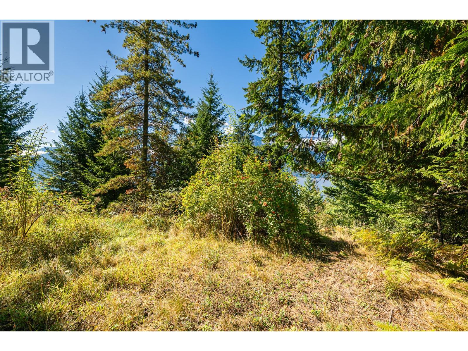 13625 & 13631 Mountain Shores Road, Boswell, British Columbia  V0B 1A0 - Photo 20 - 10364143