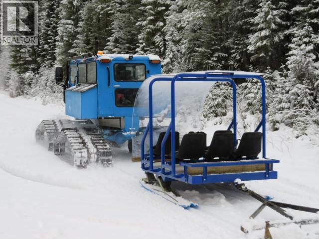 Specialty Clearwater Valley Road, Wells Gray, British Columbia  V0E 1N1 - Photo 12 - 10373204