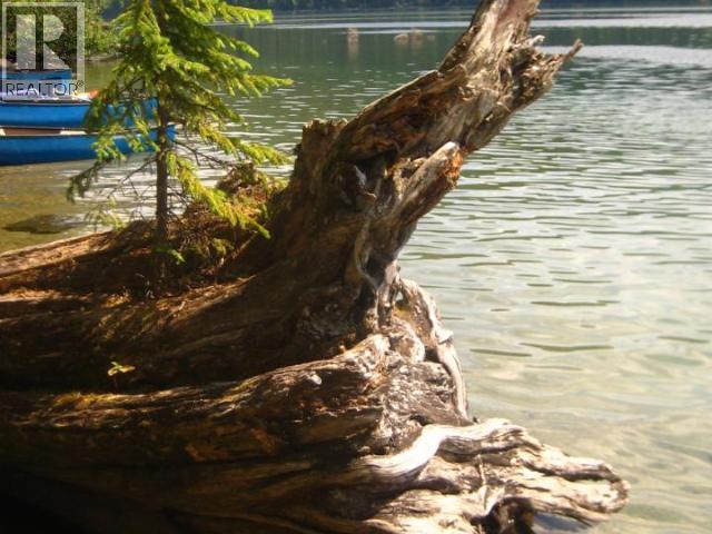 Specialty Clearwater Valley Road, Wells Gray, British Columbia  V0E 1N1 - Photo 14 - 10373204