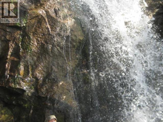 Specialty Clearwater Valley Road, Wells Gray, British Columbia  V0E 1N1 - Photo 16 - 10373204