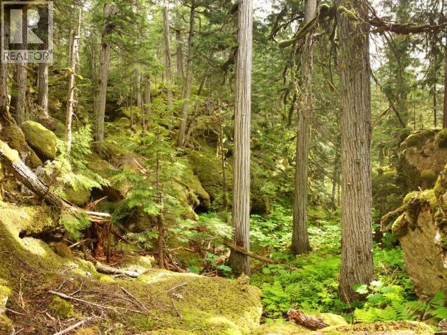 Specialty Clearwater Valley Road, Wells Gray, British Columbia  V0E 1N1 - Photo 18 - 10373204