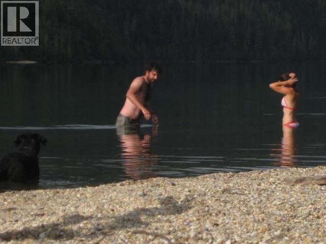 Specialty Clearwater Valley Road, Wells Gray, British Columbia  V0E 1N1 - Photo 20 - 10373204