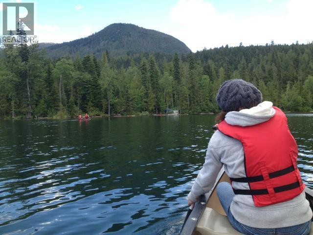 Specialty Clearwater Valley Road, Wells Gray, British Columbia  V0E 1N1 - Photo 24 - 10373204