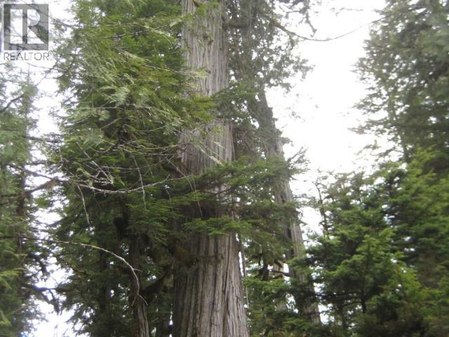 Specialty Clearwater Valley Road, Wells Gray, British Columbia  V0E 1N1 - Photo 25 - 10373204