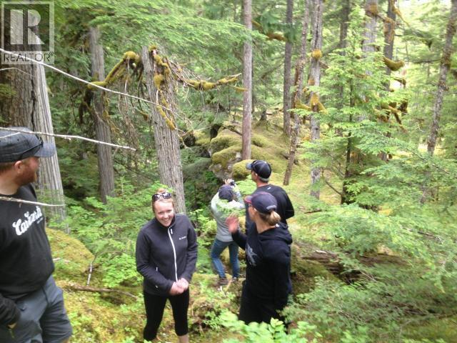 Specialty Clearwater Valley Road, Wells Gray, British Columbia  V0E 1N1 - Photo 26 - 10373204