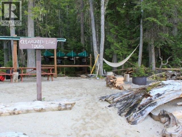 Specialty Clearwater Valley Road, Wells Gray, British Columbia  V0E 1N1 - Photo 38 - 10373204