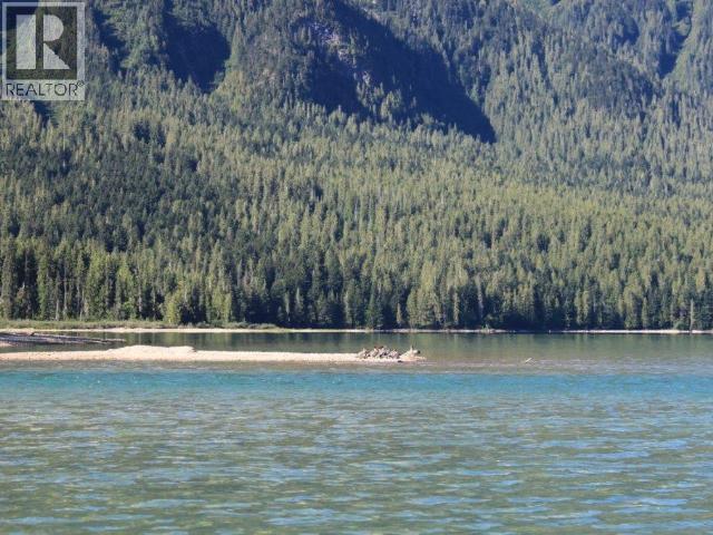 Specialty Clearwater Valley Road, Wells Gray, British Columbia  V0E 1N1 - Photo 46 - 10373204