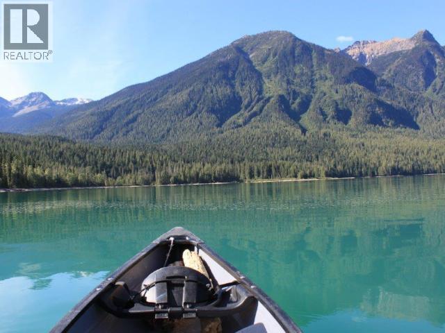 Specialty Clearwater Valley Road, Wells Gray, British Columbia  V0E 1N1 - Photo 47 - 10373204