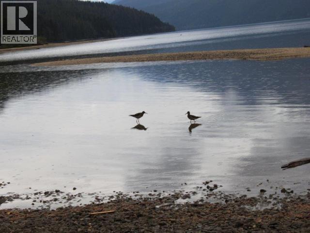 Specialty Clearwater Valley Road, Wells Gray, British Columbia  V0E 1N1 - Photo 49 - 10373204