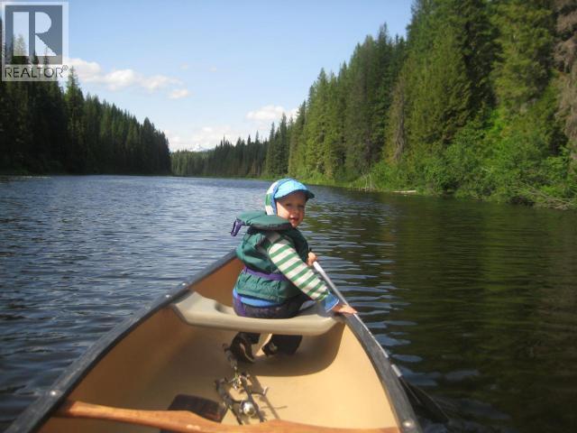 Specialty Clearwater Valley Road, Wells Gray, British Columbia  V0E 1N1 - Photo 5 - 10373204