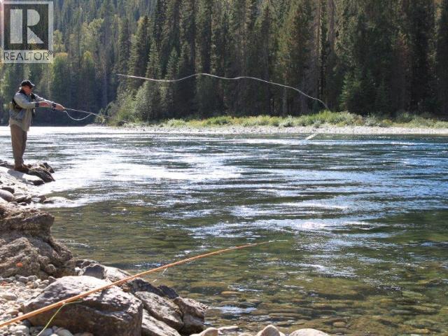 Specialty Clearwater Valley Road, Wells Gray, British Columbia  V0E 1N1 - Photo 50 - 10373204