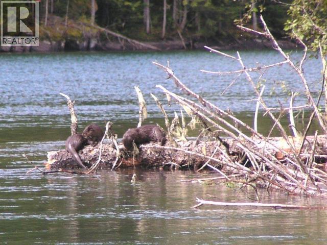 Specialty Clearwater Valley Road, Wells Gray, British Columbia  V0E 1N1 - Photo 53 - 10373204