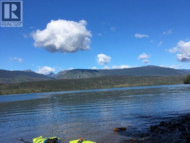 Specialty Clearwater Valley Road, Wells Gray, British Columbia  V0E 1N1 - Photo 6 - 10373204