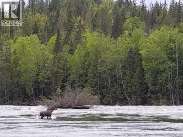 Specialty Clearwater Valley Road, Wells Gray, British Columbia  V0E 1N1 - Photo 7 - 10373204