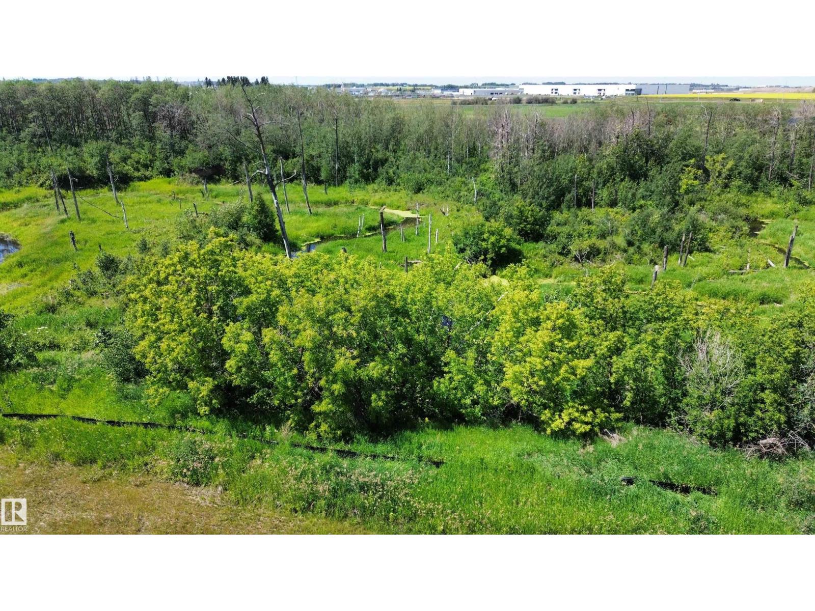 14 St, Rural Leduc County, Alberta  T4X 3C6 - Photo 5 - E4468419